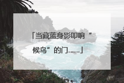 当藏蓝身影叩响“候鸟”的门……